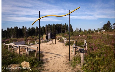 Der Beginn des Goldenen Pfades in der Niedersfelder Hochheide