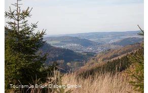 Sauerland-Wanderdörder; Der Ginsterkopf mit Blick auf die Gierskopp