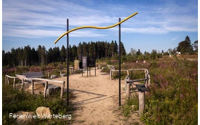 Der Beginn des Goldenen Pfades in der Niedersfelder Hochheide