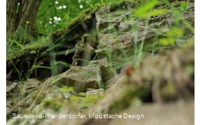 Steinbruch am Hengböhl