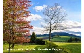 Ausblick von der Rochuskapelle