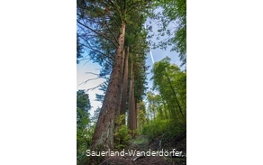 Die Himmelssäulen stehen hintereinander in der Reihe