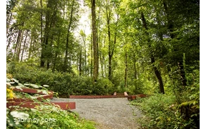 Blick vom Boden in den grünen Wald mit hölzernen Wegmakierungen