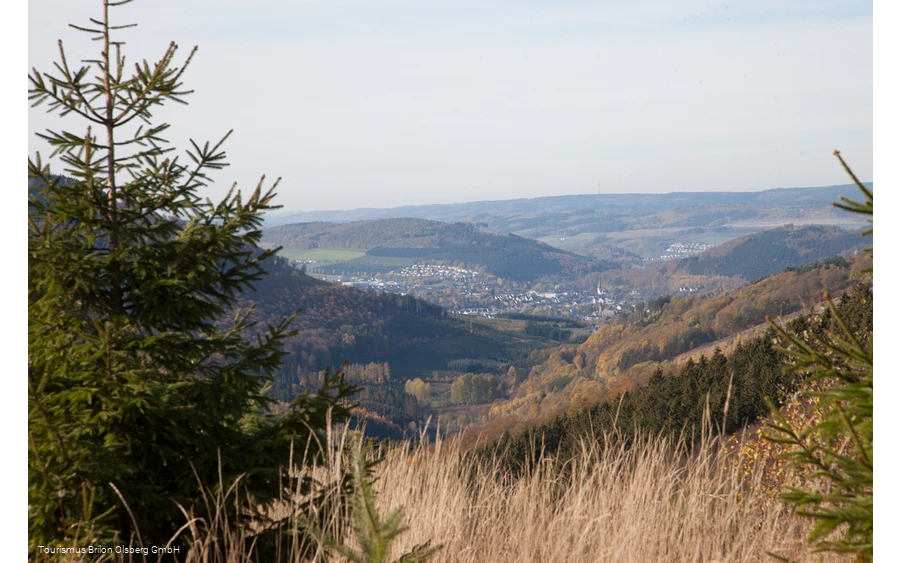 Sauerland-Wanderdörder; Der Ginsterkopf mit Blick auf die Gierskopp