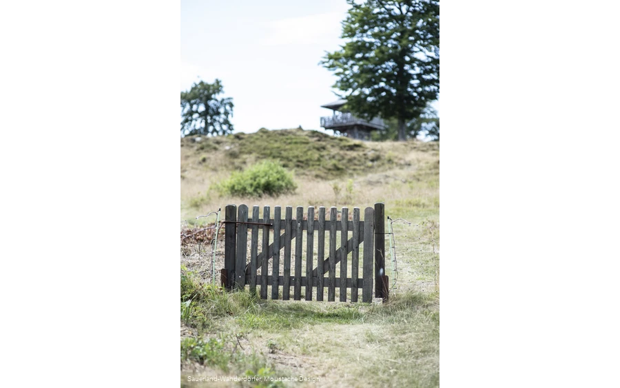 Holztor an der Schwalenburg