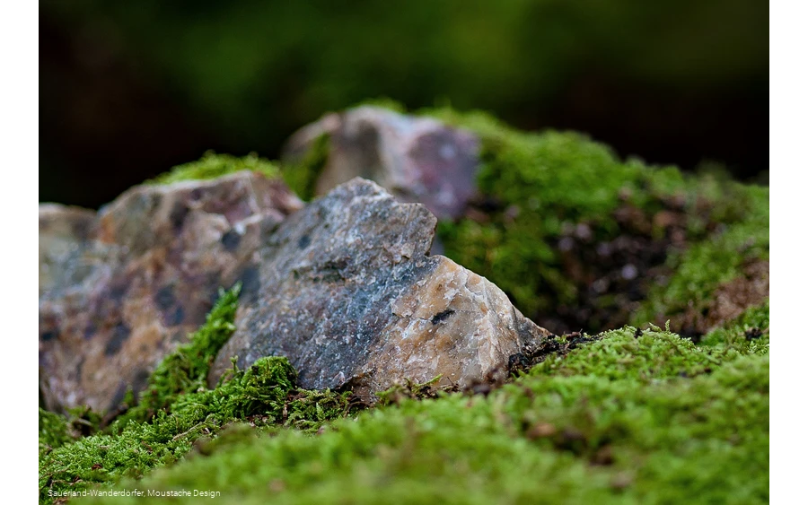 Detailansicht auf das Gestein an den Quarzklippen
