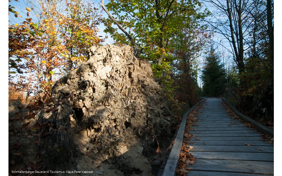 Kyrillpfad in der Abenddämmerung