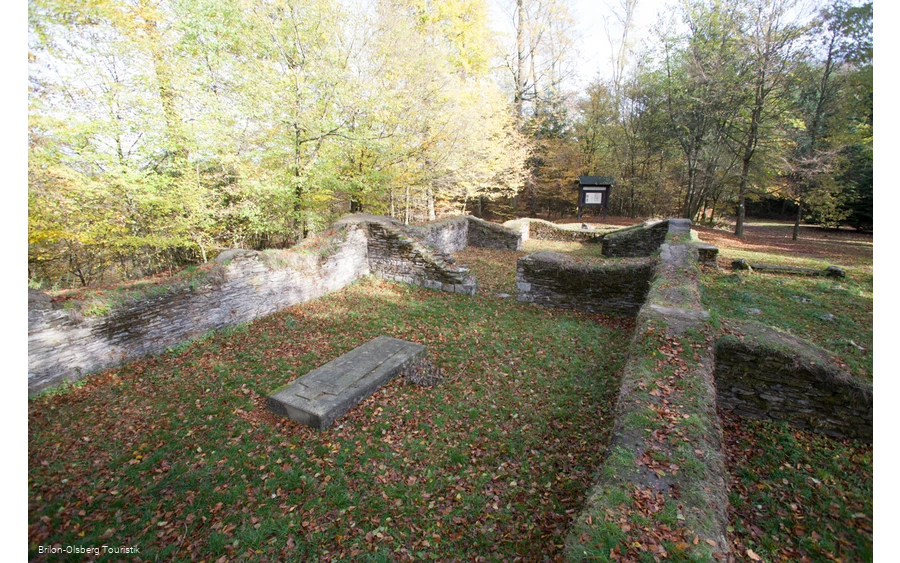 Wallanlage im Herbstwald