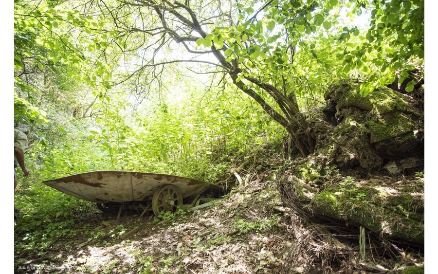 Schubkarre im Wald