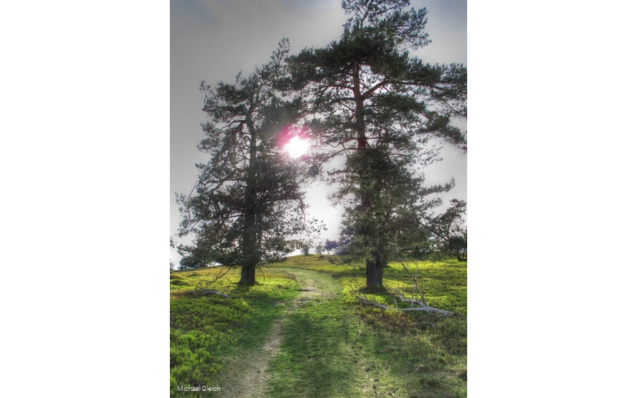 Sonnenschein am Osterkopf
