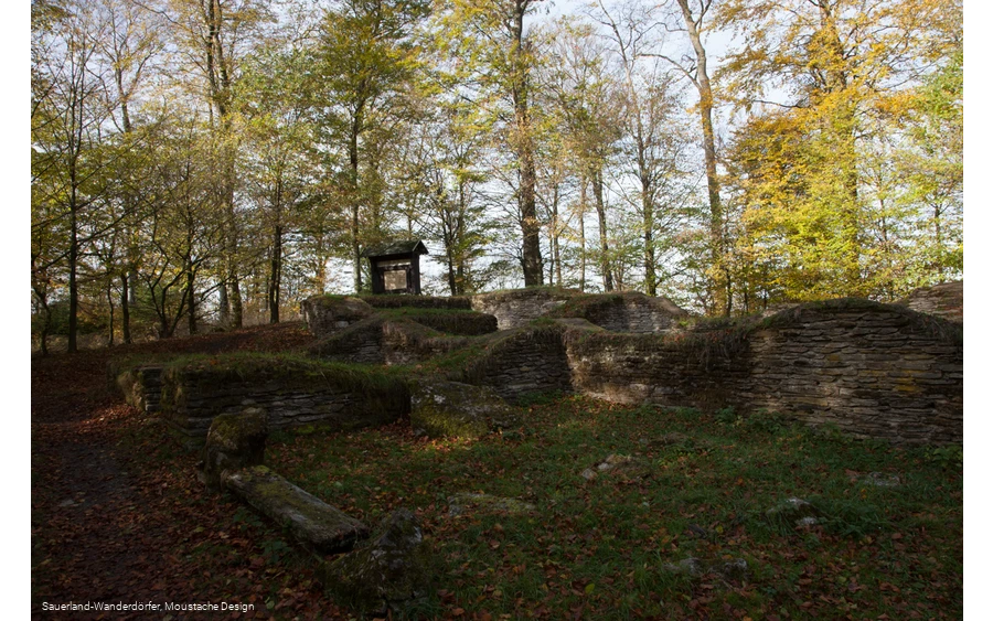Wallburganlage auf dem Borberg