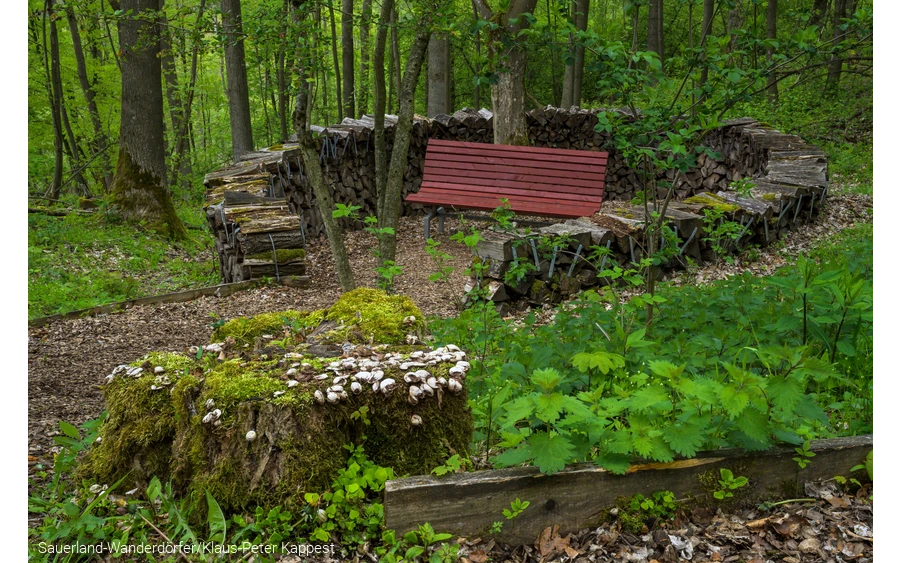 Eine rote Bank steht in einem Kreis aus Holzscheiten, die sogenannte Dichterlichtung