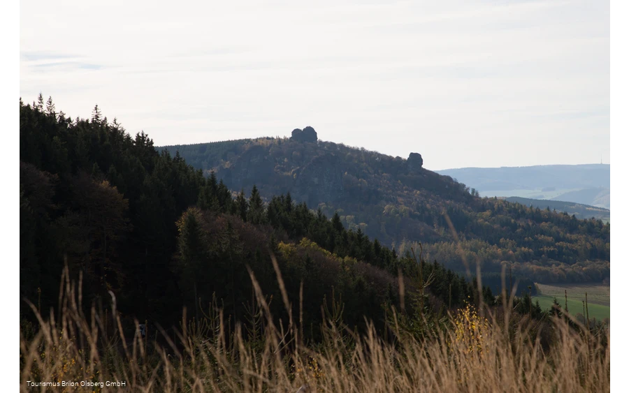 Ginsterkopf mit Blick auf die Bruchhauser Steine