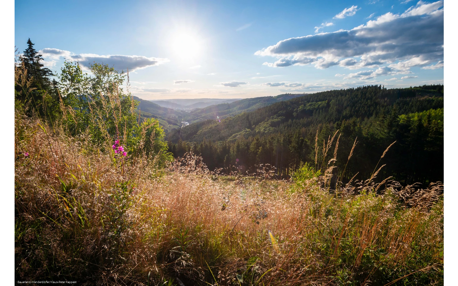 Blick ins Tal mit leichten Sommerwolken vom Ginsterkopf