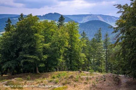 Weotblick auf den Ettelsberg vom Turm auf dem Gelände der Schwalenburg