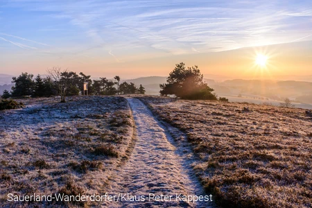 Ein Wanderweg führt auf den Osterkopf