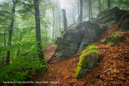 Unterhalb des Hollenfelsens bei Bödefeld im Sauerland