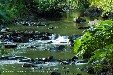 Nahaufnahme des Baches Orke bei Medelon