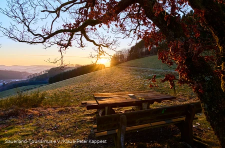 Winterlicher Sonnenuntergang mit einer Bank im Vordergrund