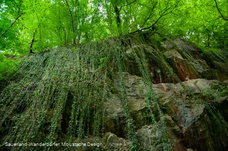 Blick nach oben auf die Felswand im Steinbruch Peperburg