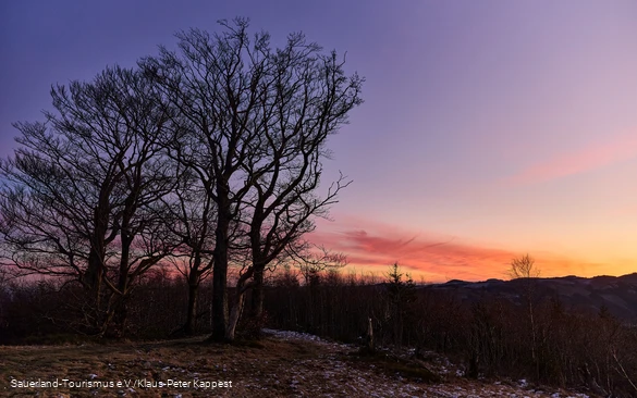 Sonnenaufgang an einem Wintermorgen über dem Olsberg