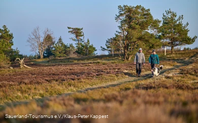 Ein Wanderpaar mit einem Hund in der winterlichen Heidelandschaft