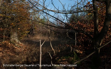 Kyrillpfad im Sauerland in der Herbstjahreszeit