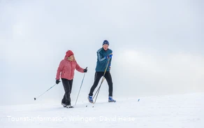 Langläufer in Willingen 