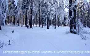 Rothaar Loipe - Abschnitt Albrechtsplatz-Kühhude