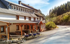 Frontansicht Landhotel Baumwipfel.jpg