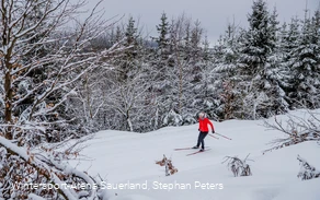Langläuferin im Winterwald in Willingen
