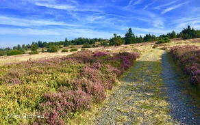 Weg auf dem Kahlen Pön