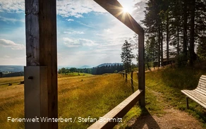 Ein hölzerner Landschaftsrahmen mit einer Bank umgeben von Wiesen und Wäldern.
