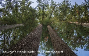 Sauerland Seelenort Himmelssäulen