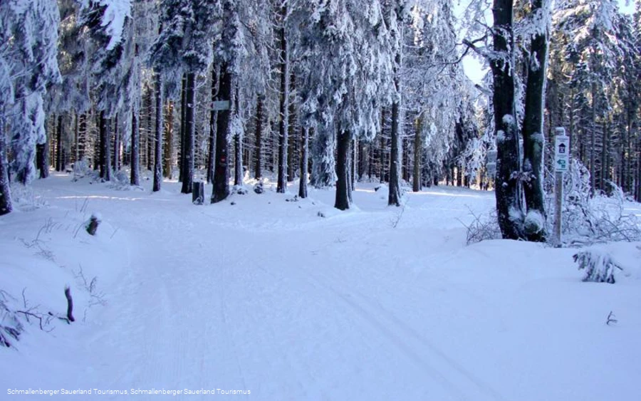 Rothaar Loipe - Abschnitt Albrechtsplatz-Kühhude