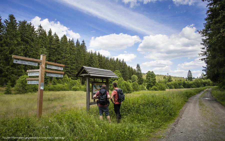Wandern im Schwarzbachtal