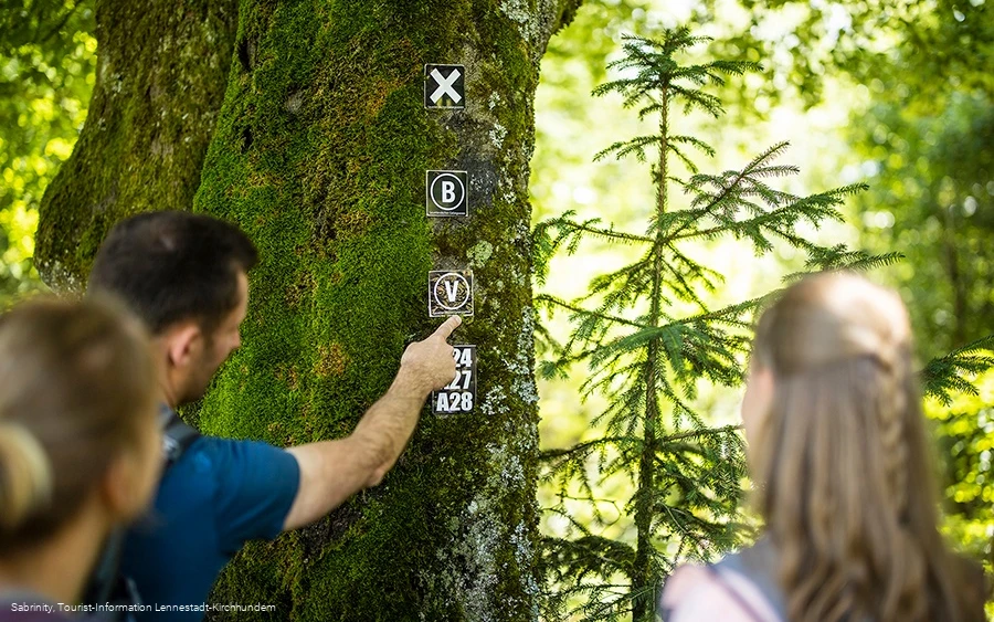 Wegemarkierung Veischeder Sonnenpfad