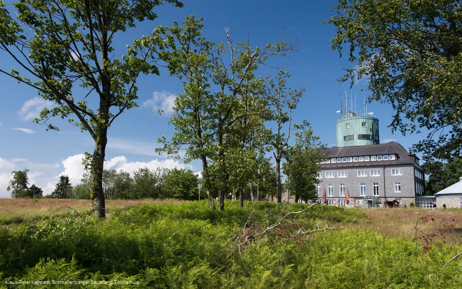 Kahler Asten mit Astenturm