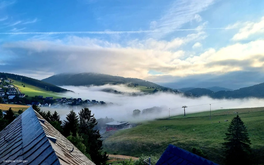 Sicht vom Waldhotel Nebel.jpg