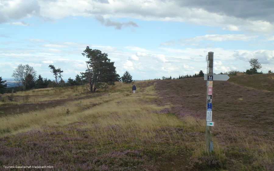 Wanderpfosten auf dem Rundweg