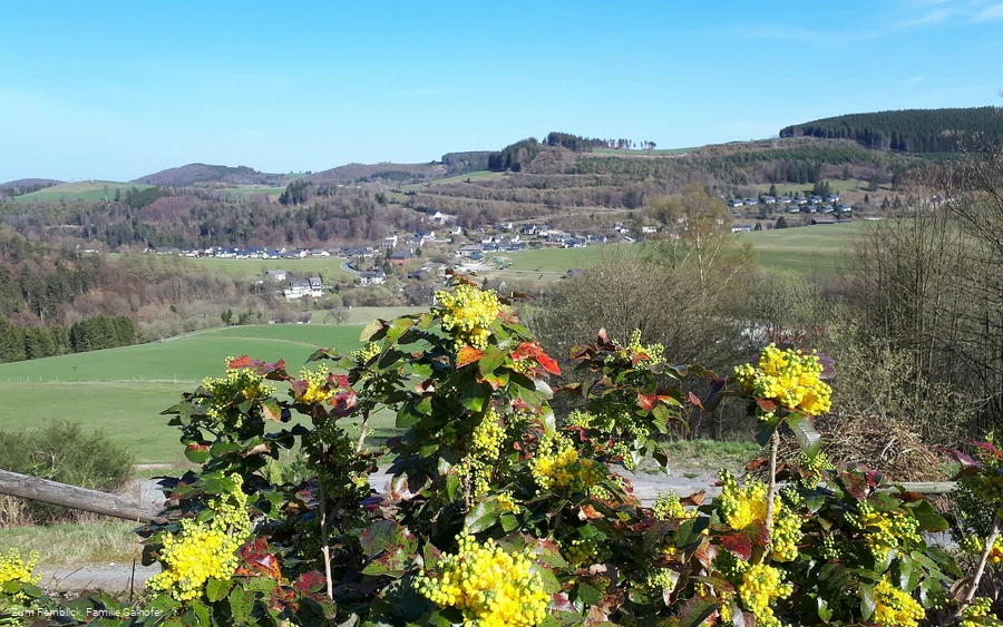 cafe-fernblick-aussicht.jpg