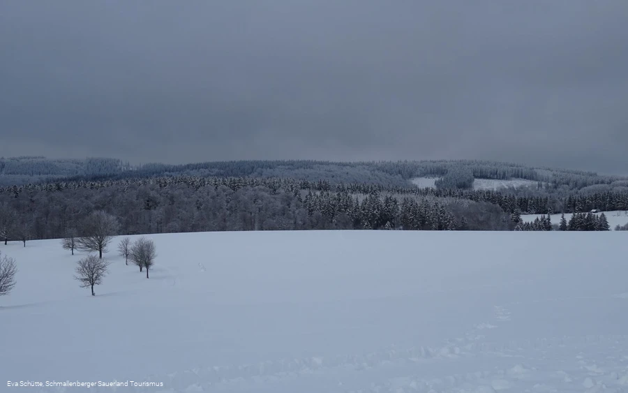 Panoramablick Herhagen