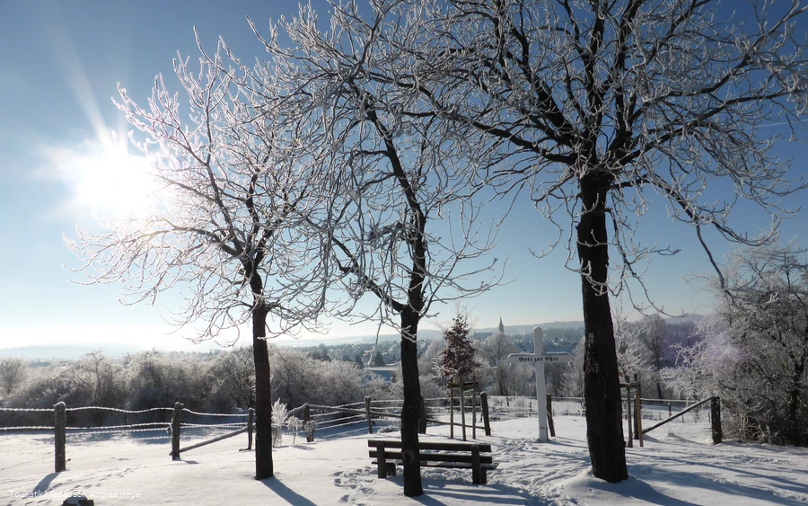 Blick auf Medebach im Winter