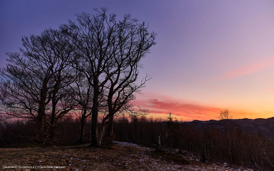 Sonnenaufgang an einem Wintermorgen über dem Olsberg