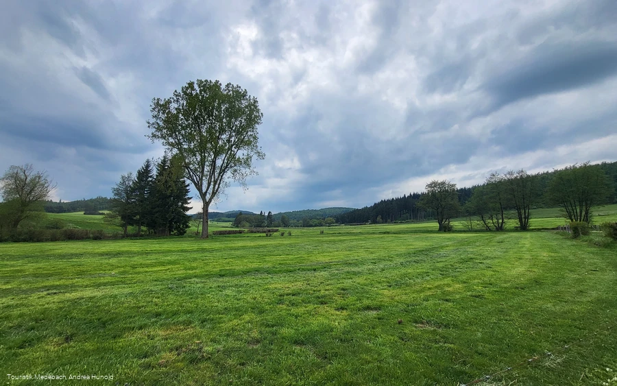 Typische Wiesenlandschaft der Medebacher Bucht