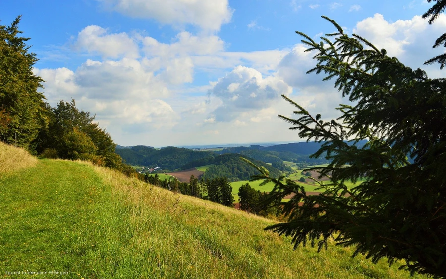 Grasweg auf dem Geschichtspfad Welleringhausen