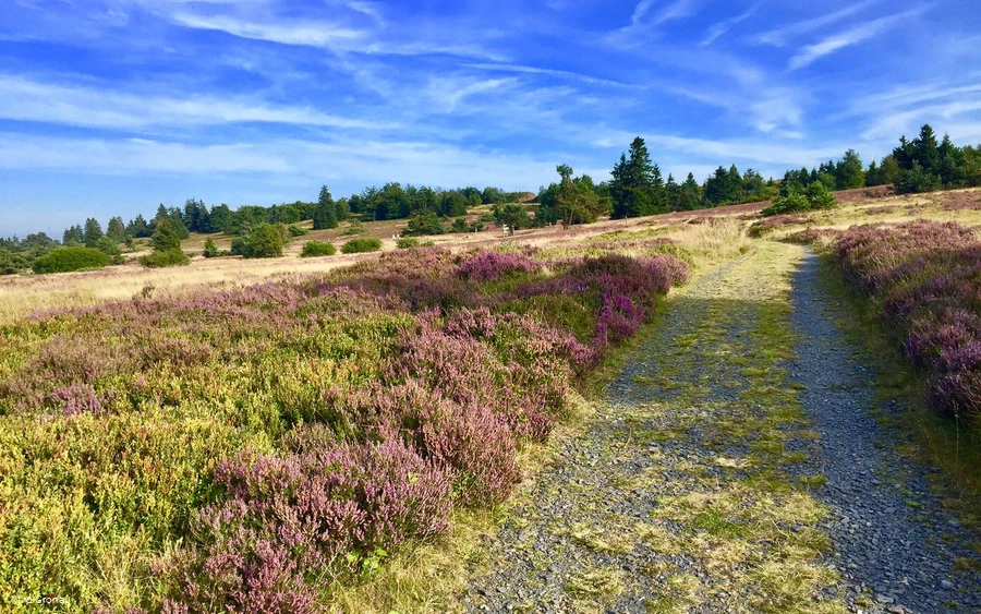 Weg auf dem Kahlen Pön
