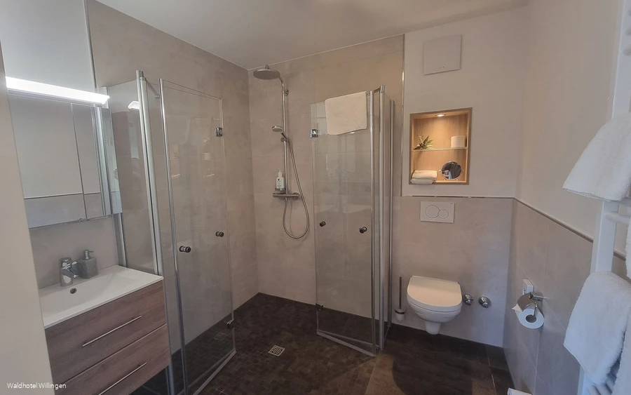 Waldhotel Willingen Badezimmer 