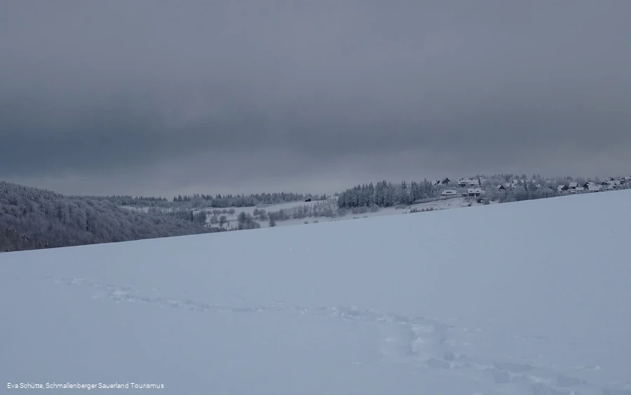 Panoramablick vom Herhagen auf den Ort Altastenberg