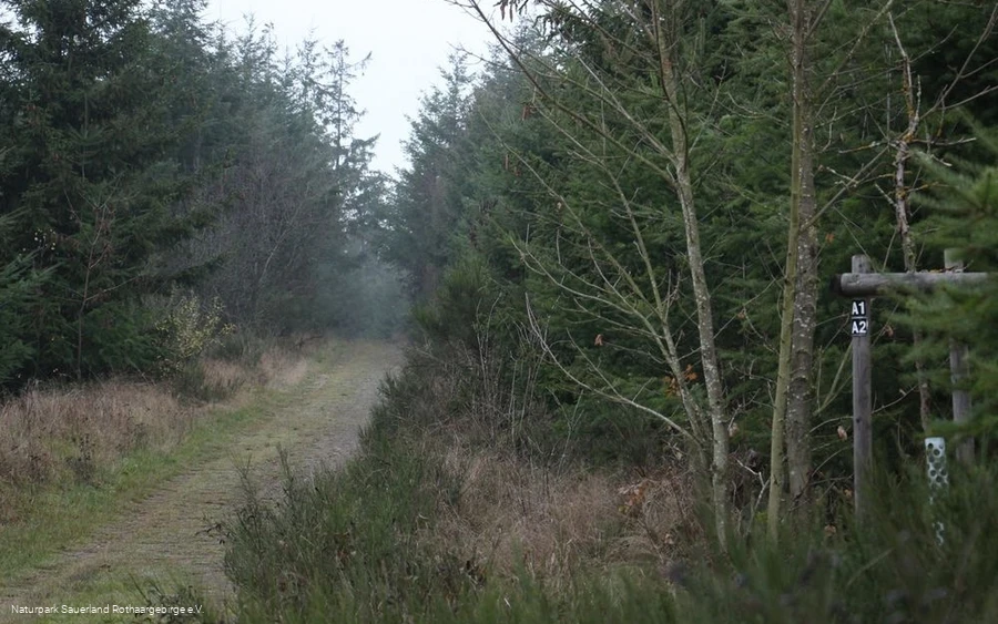 Landschaftsimpressionen nahe des Wanderparkplatzes Landschaftsimpressionen nahe des Wanderparkplatzes